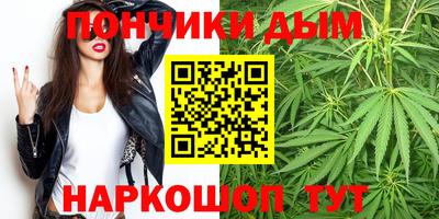 стаф Лесосибирск