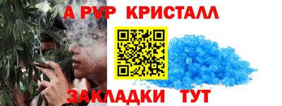 стаф Лесосибирск