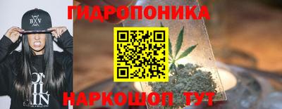 стаф Лесосибирск