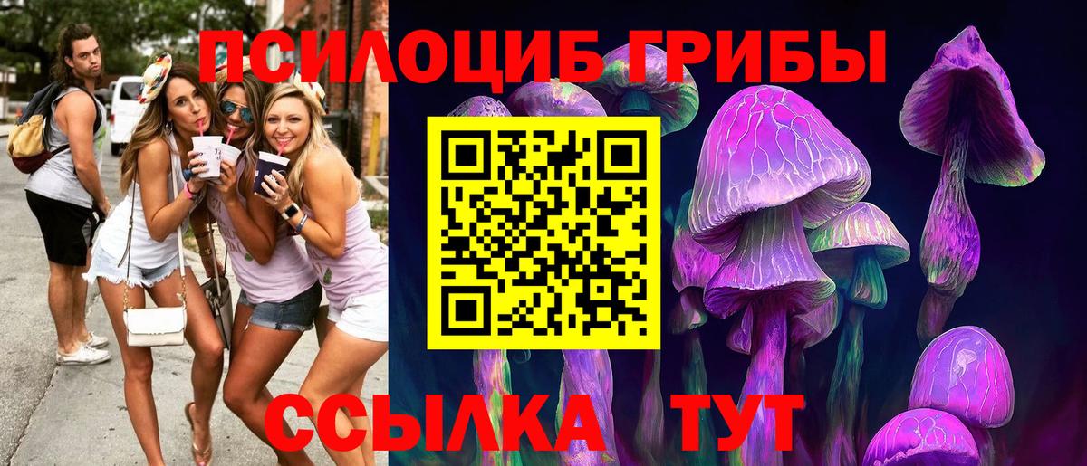 Карачаевск  Галлюциногенные грибы GOLDEN TEACHER  Галлюциногенные грибы Magic Shrooms  Вход с VPN 