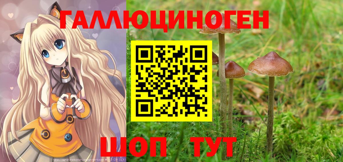 Псилоцибиновые грибы MAGIC MUSHROOMS Карачаевск