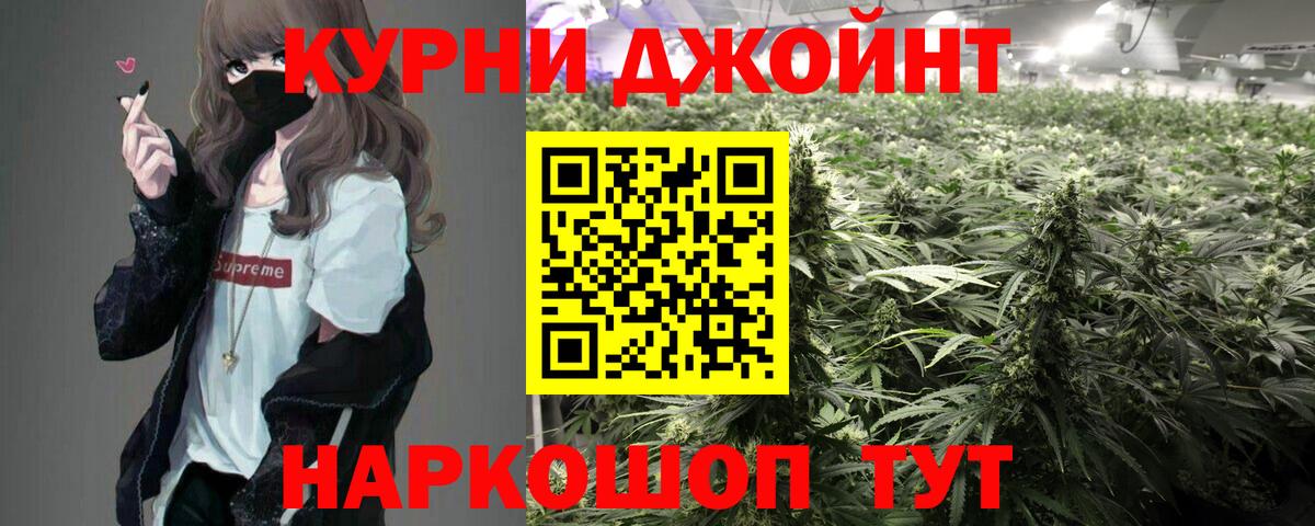 Шишки марихуана планчик Карачаевск